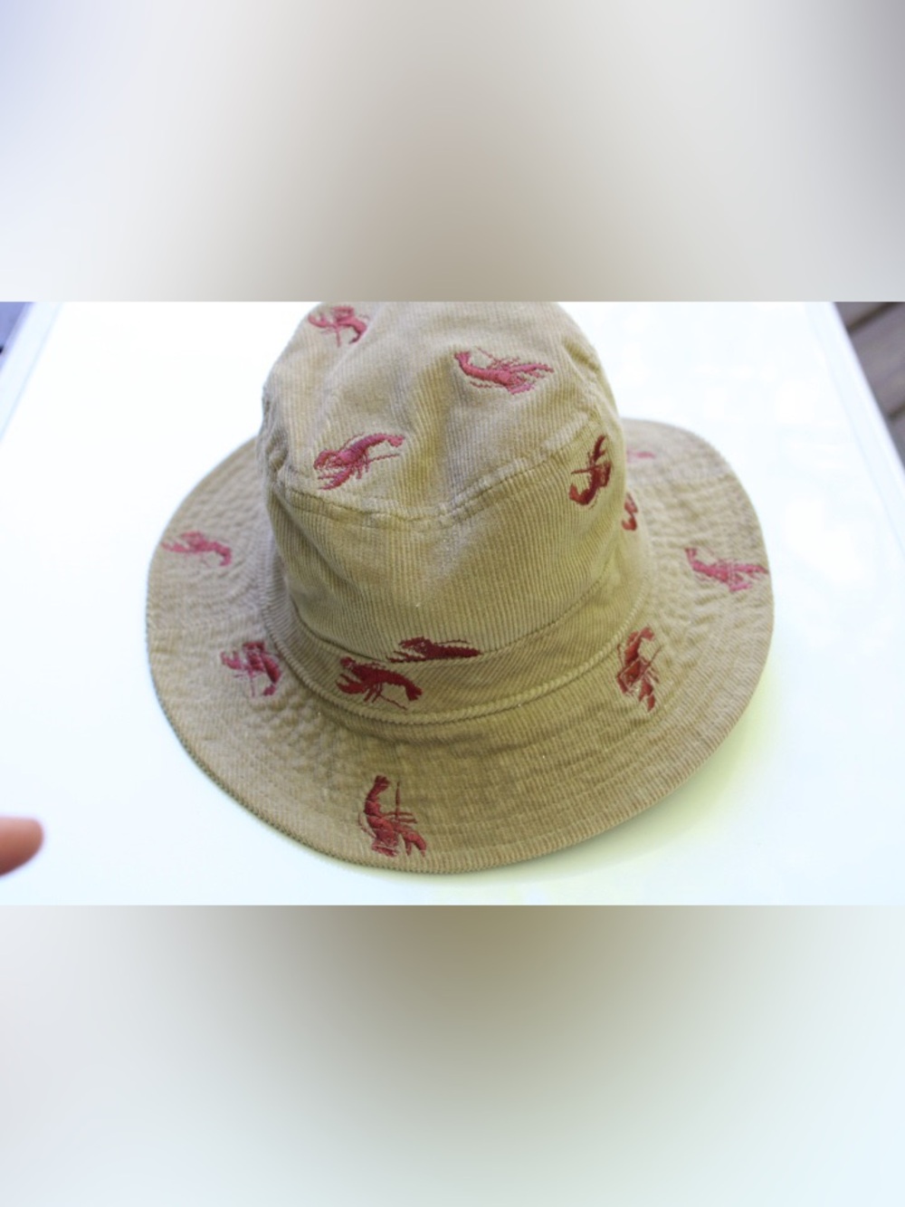 J. Crew lobster embroidered hat - Picture 3 of 6